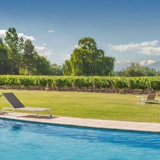 Postales Finca & Bodega by DOT Boutique