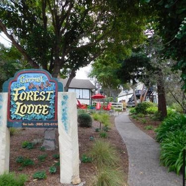 Forest Lodge Thumbnail