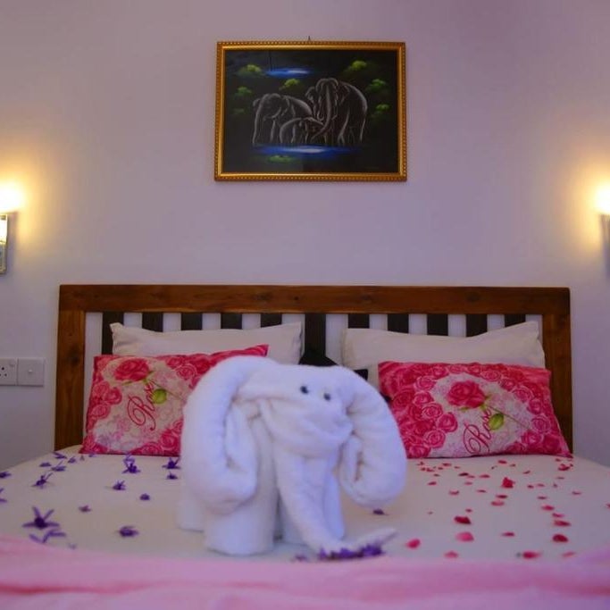 Ivory Safari House