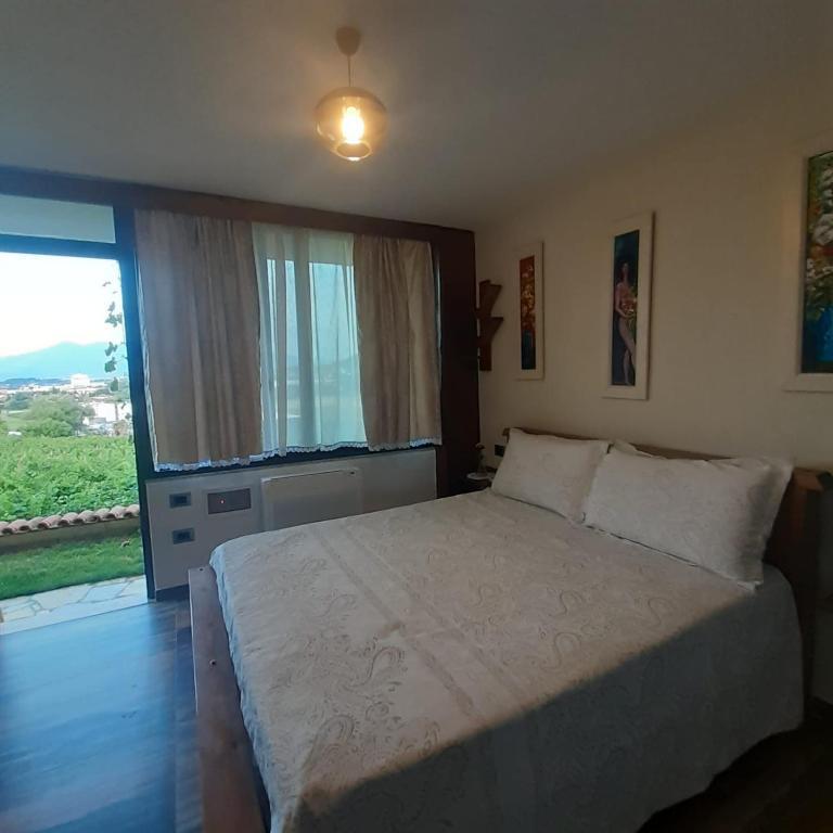 Vila Shehi Guesthouse and Winery Thumbnail