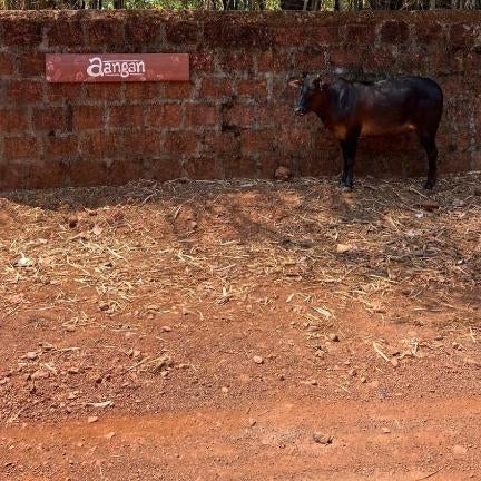 Aangan by Gokarma Living Thumbnail