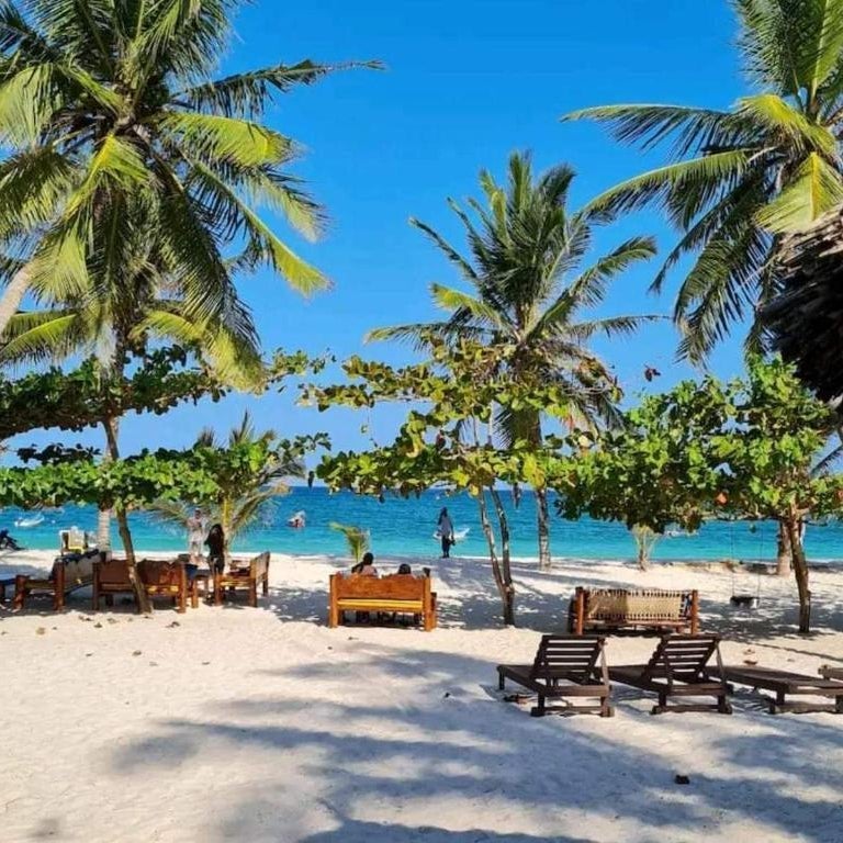 Paradise Cove Diani Beachfront