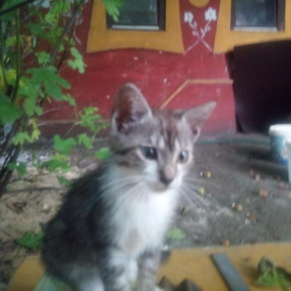 Apartman- Radava15 Konjic- Thumbnail