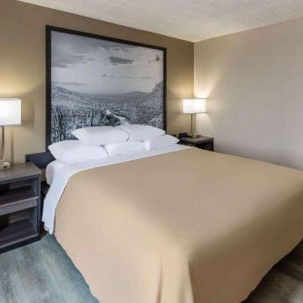 Super 8 by Wyndham Laredo Thumbnail