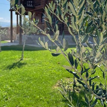 Cosy Cottage with Private Pool - Andrej