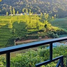 Tea Leaf Stays by Brown Tree Resort
