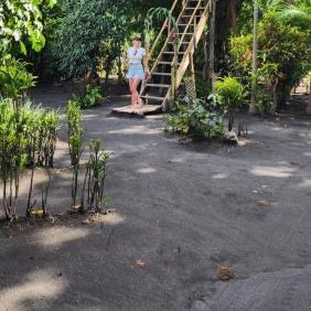 Tanna Volcano View Tree House Thumbnail