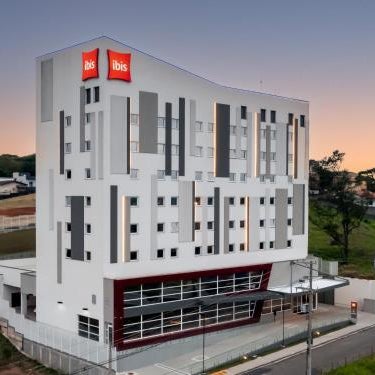 Ibis Aruja