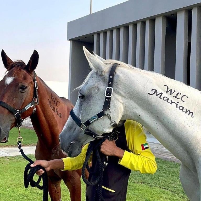 Aayan Resort Thumbnail