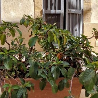 Bed & Breakfast Porta d'Oriente