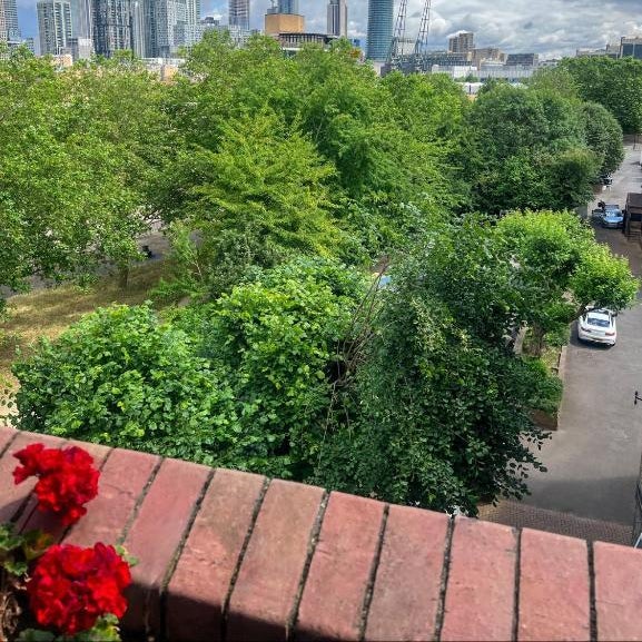 Charming and Cosy Canary Wharf Room with Stunning Views Thumbnail
