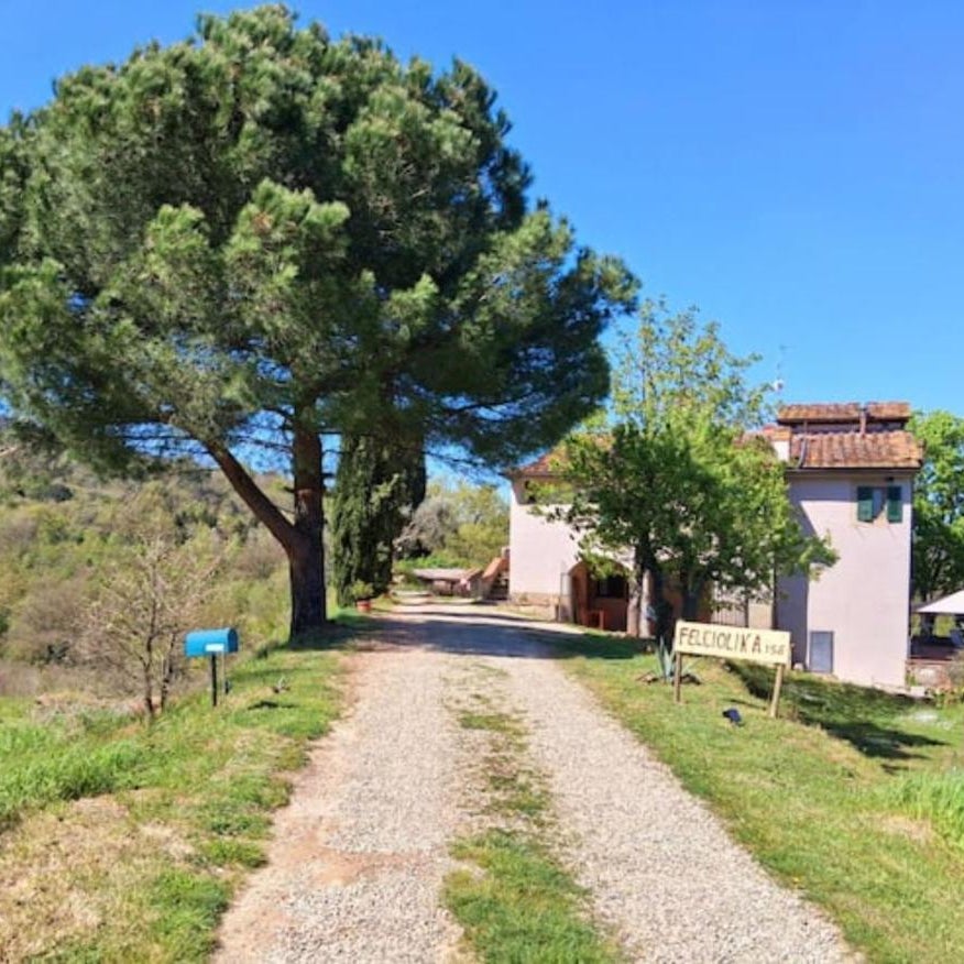 Felciolina - Medieval Country House