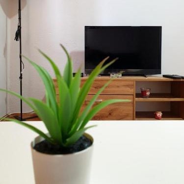 Fenix Apartman