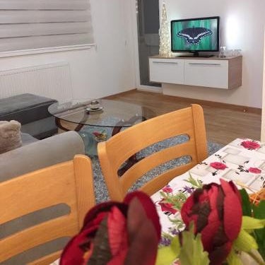 Apartman Jovana Pale
