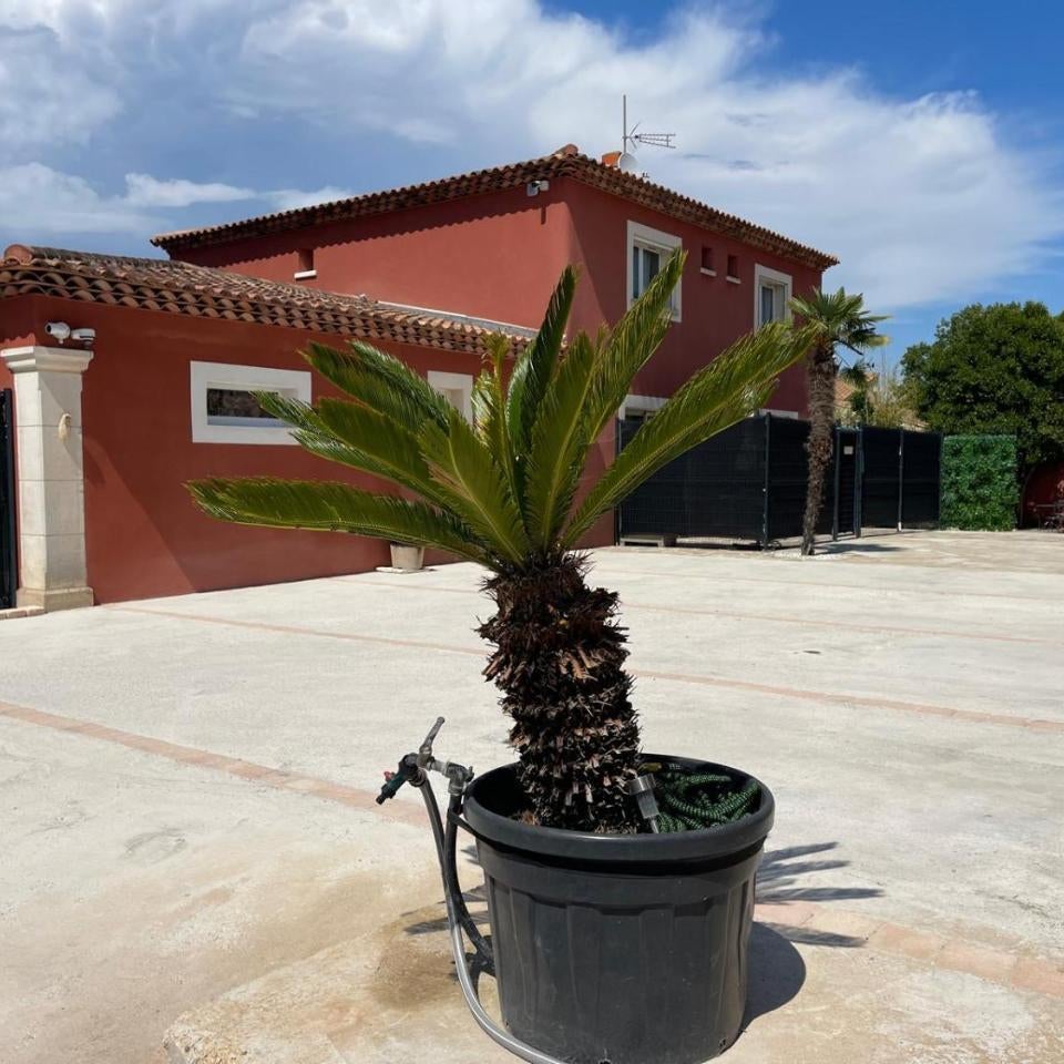 La Casa Bella Thumbnail
