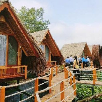 Coco Island Cồn Phụng