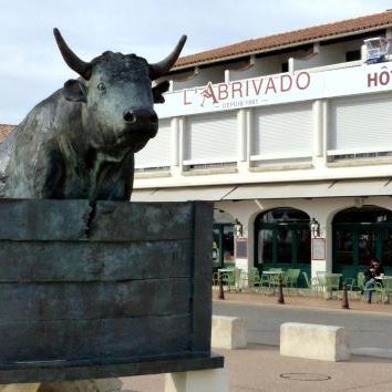 Abrivado