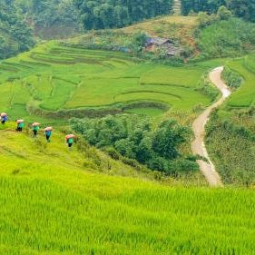 Sapa Fantasea Homestay Thumbnail