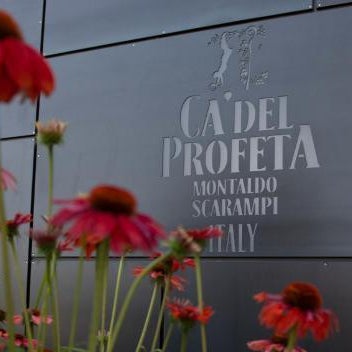 Ca' del Profeta Suites