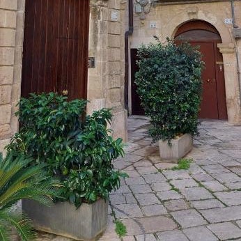 Dimora a Palazzo
