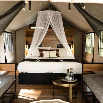Paperbark Camp