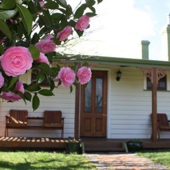 Westbury Gingerbread Cottages