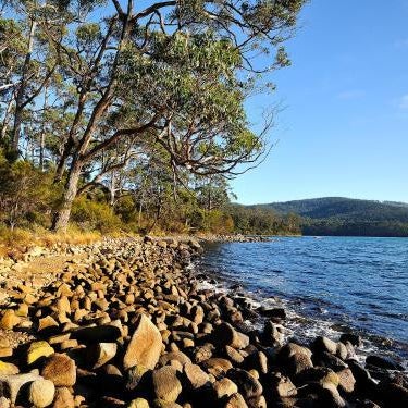 NRMA Port Arthur Holiday Park