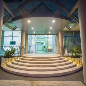 The Tea Tree Thumbnail