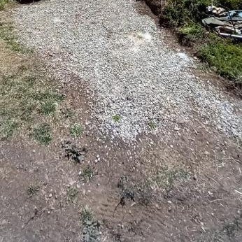 Cabaña el Sauco