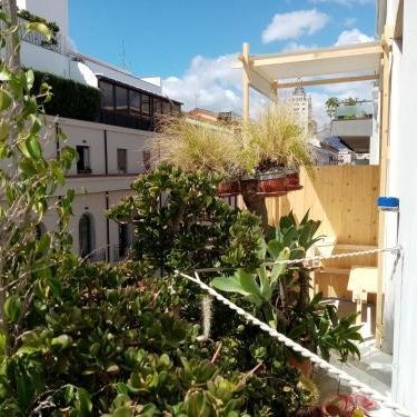 Ariston Petit Hotel Thumbnail
