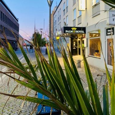 Palm Tree Hotel, Best Western Signature Collection
