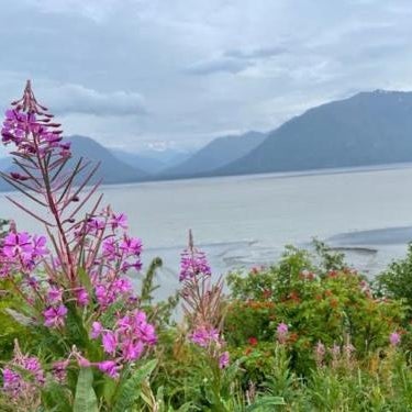 Alaska Lake + Lodge at Longmere Thumbnail