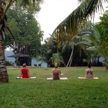 Mangrove villa - Yoga & Ayurveda Thumbnail