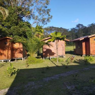 Oso de Osa