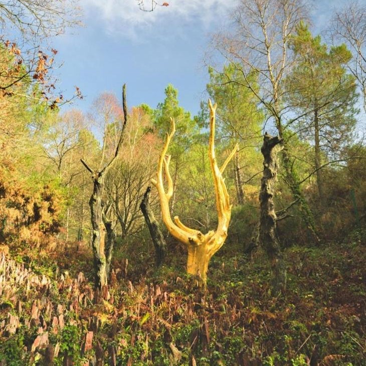 L'arbre dort studio indépendant
