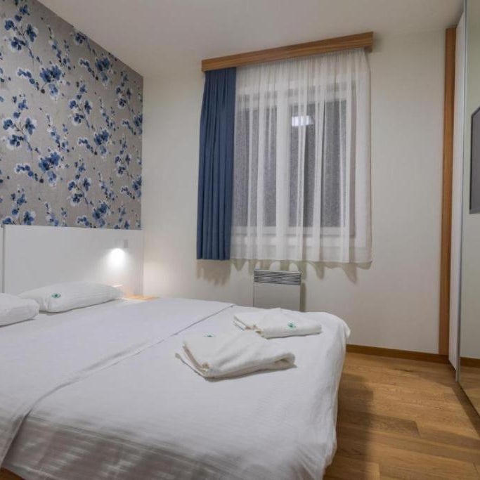 Vila Borova Apartman Rajin