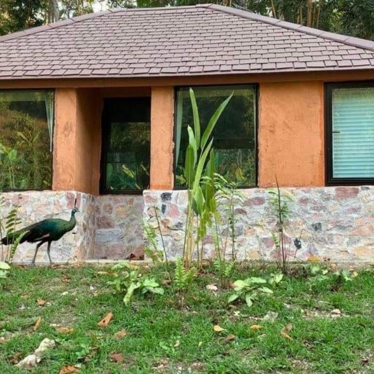 Katiliya Park Villa Thumbnail