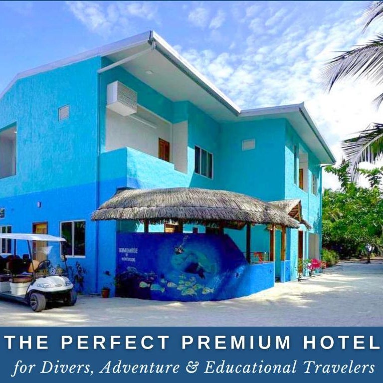 ISLAND LUXURY DIVE HOTEL - FULHADHOO Thumbnail