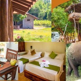 Tiara Elephant Lodge