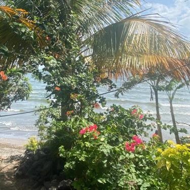 Playa Casa Nohelia Thumbnail