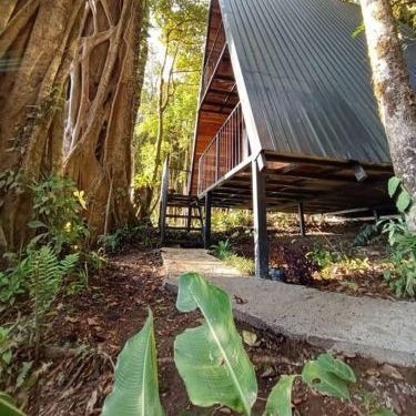 Casa del Árbol (A-Frame) - Ágape del Bosque