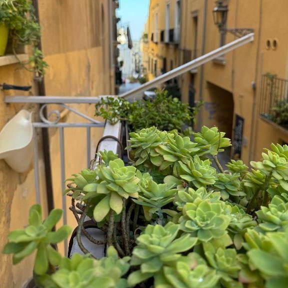 Residenza d'Artista al Duomo2