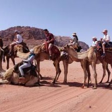 Magic Bedouin Star Thumbnail