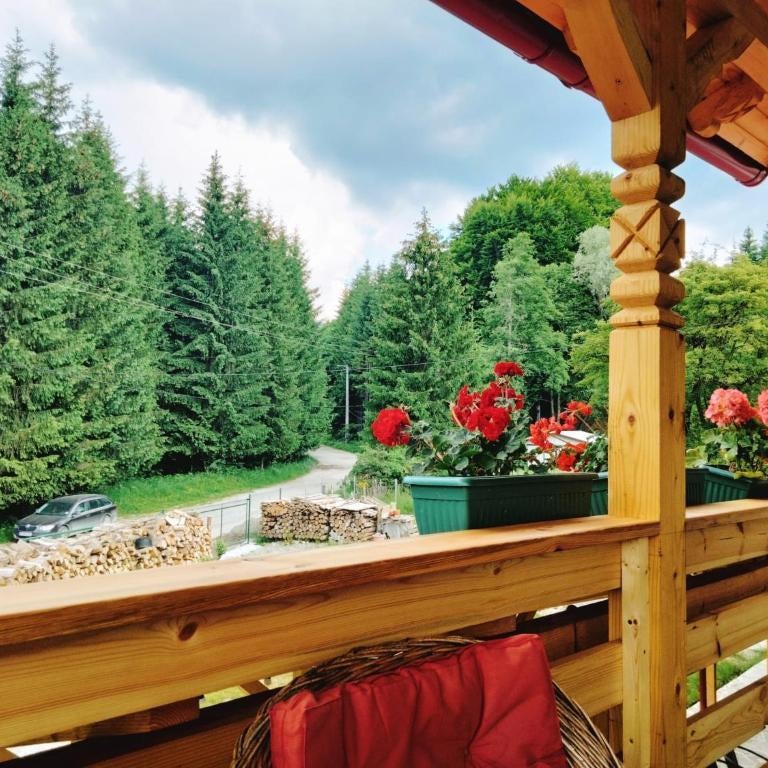 Poiana Sasilor - Valea Doftanei