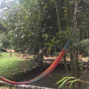 Finca Bambú Del Valle Thumbnail