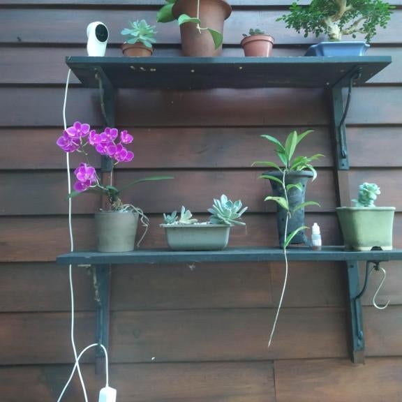 Mi Casa Homestay