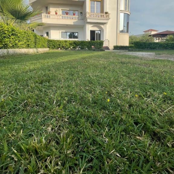 Vila BriArt Thumbnail