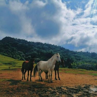 Hotel Recreacional Marcelandia Santa Rosa de Cabal Thumbnail