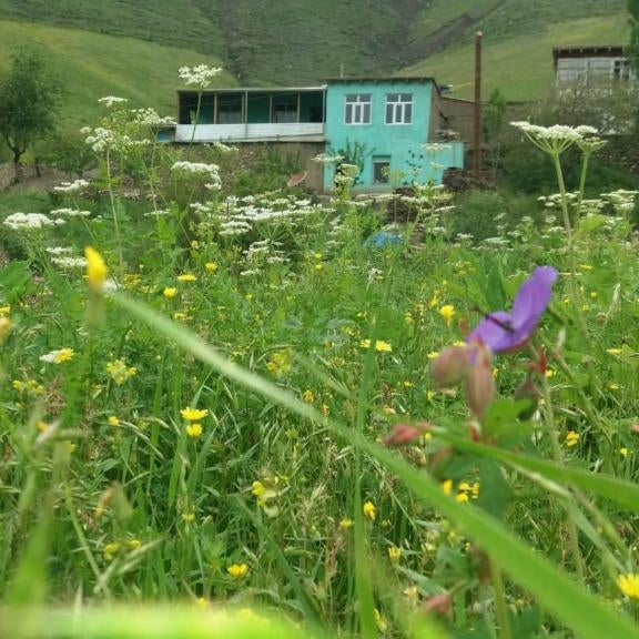 Mountain house Thumbnail