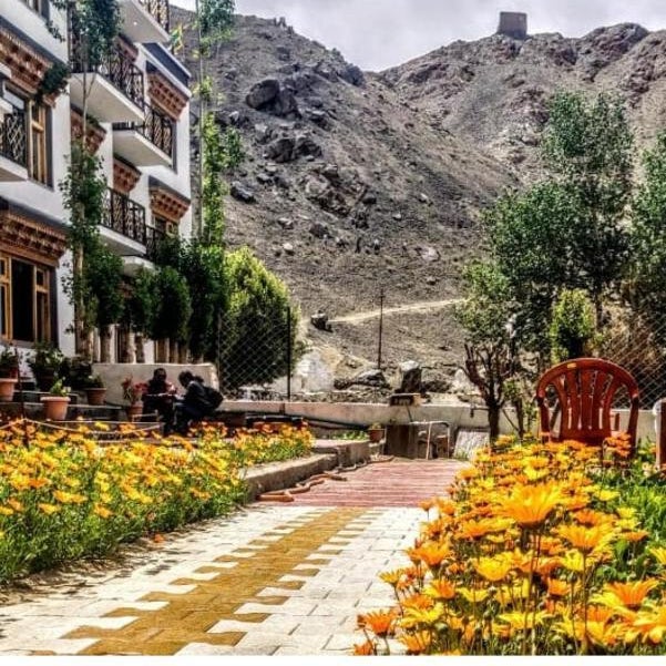 Marigold Ladakh